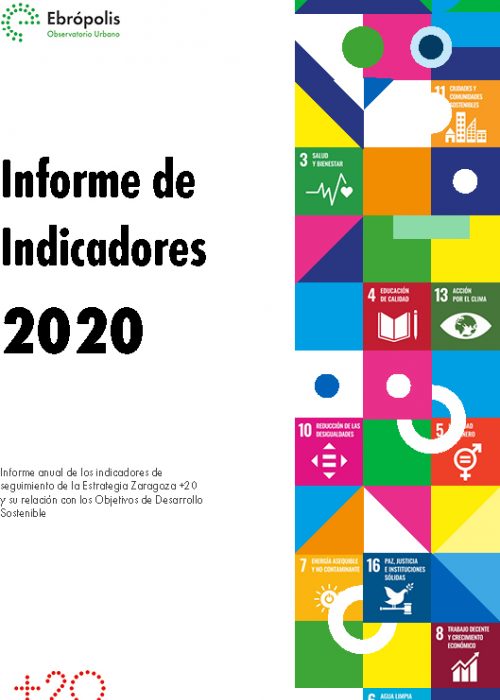 Informe Anual de Indicadores 2020