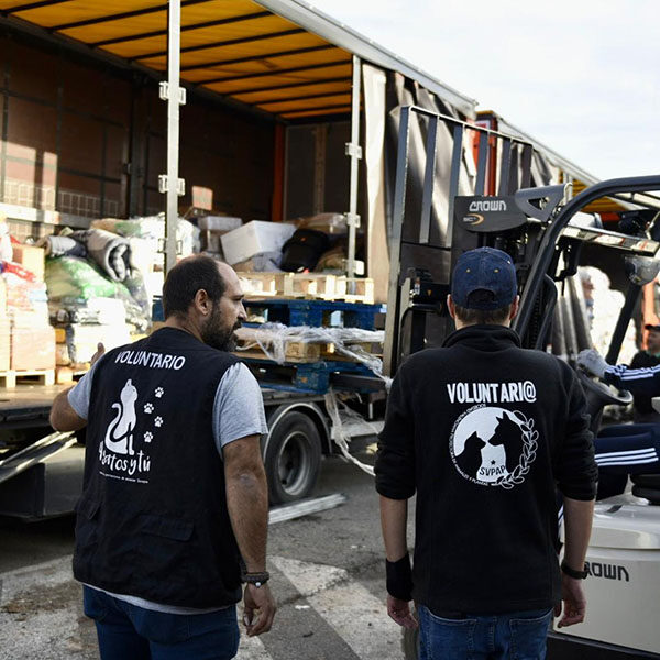 Asociación 4 gatos y tú